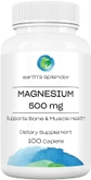 Magnesium 500 mg