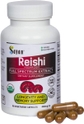 Reishi