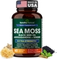 Sea Moss