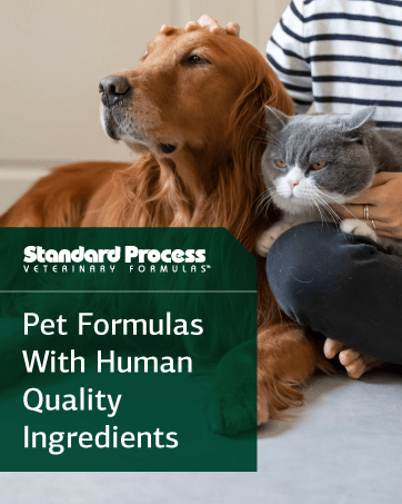 Pet Formulas With Human Quality Ingredients