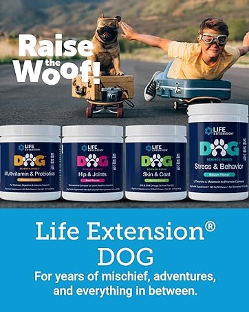 dog supplement