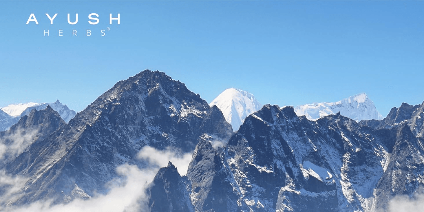 A mountainous jungle valley under a blue sky. Text reads: Ayush Herbs.