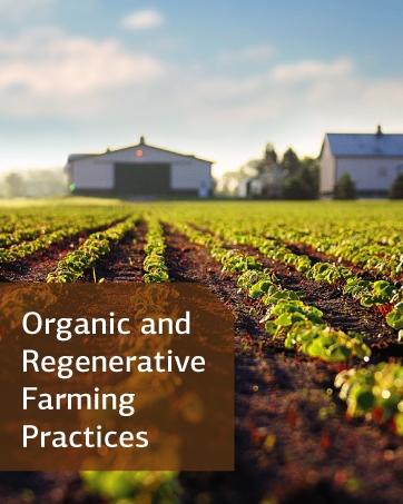 Organic and Regenerative Farming Practices