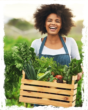 vegetable harvest